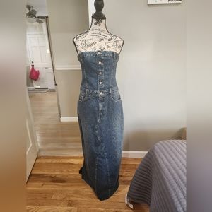 Zara Blue Denim Strapless Button-Front Maxi Dress